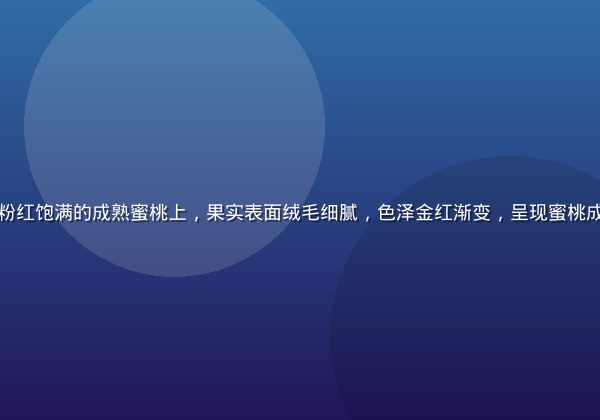 阳光透过果园树叶洒在粉红饱满的成熟蜜桃上，果实表面绒毛细腻，色泽金红渐变，呈现蜜桃成熟时最动人的自然美感